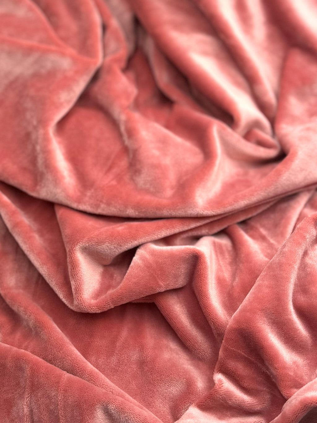 Plush Simple