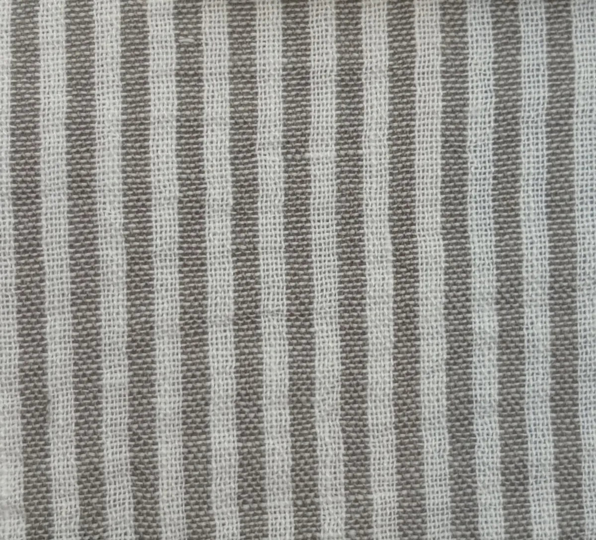 Lino Sastrero Raya Finita