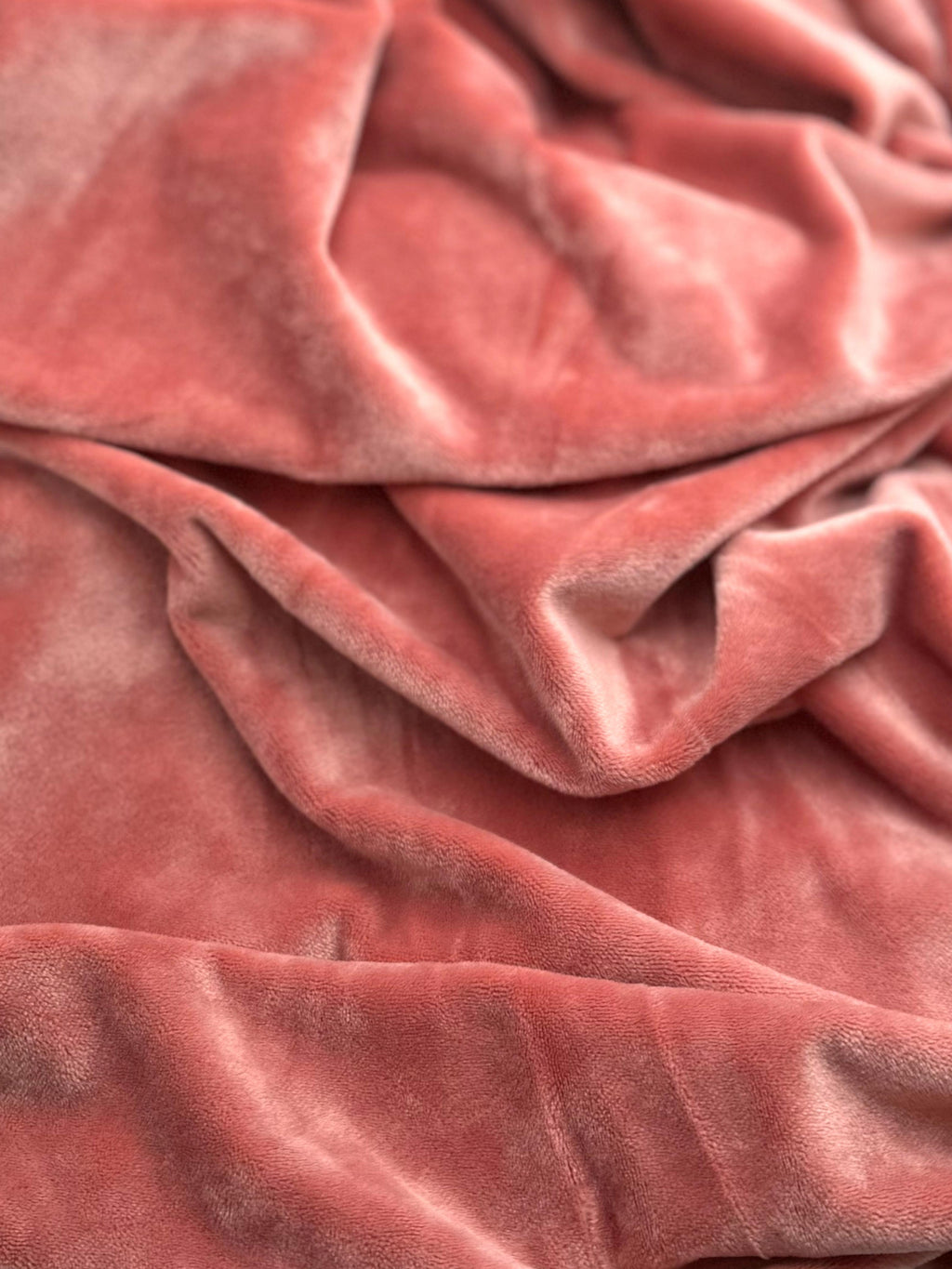 Plush Simple